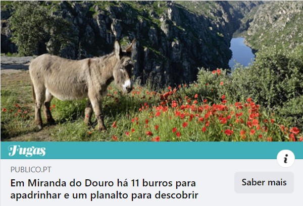 Jornal Pblico